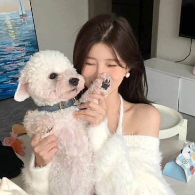 银翼情人